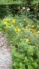 IMG-20190604-WA0012