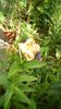 IMG-20190607-WA0015