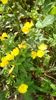 IMG-20190607-WA0016