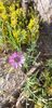 IMG-20190608-WA0009