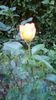 IMG-20190614-WA0006