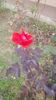 IMG-20191221-WA0007