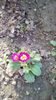 IMG-20191221-WA0016