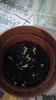 IMG-20191227-WA0001