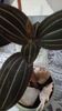 IMG-20191227-WA0003