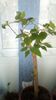 IMG-20191227-WA0009
