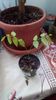IMG-20191227-WA0012