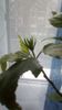 IMG-20191227-WA0022