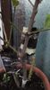 IMG-20191229-WA0002