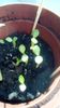 IMG-20200104-WA0001