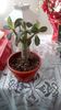 IMG-20200105-WA0001