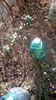 IMG-20200217-WA0005