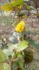 IMG-20191221-WA0005