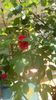IMG-20200422-WA0001