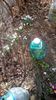 IMG-20200217-WA0004