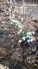 IMG-20200217-WA0010
