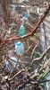 IMG-20200217-WA0016