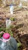 IMG-20200217-WA0018