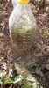 IMG-20200217-WA0021