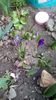 IMG-20200302-WA0006