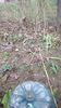 IMG-20200306-WA0006