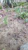 IMG-20200306-WA0009