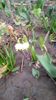 IMG-20200306-WA0010