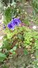 IMG-20200309-WA0001