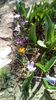 IMG-20200313-WA0000