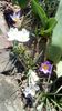 IMG-20200313-WA0002