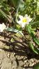 IMG-20200313-WA0005