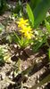 IMG-20200313-WA0006