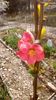 IMG-20200319-WA0002