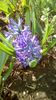 IMG-20200319-WA0004