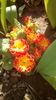IMG-20200319-WA0009