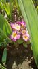 IMG-20200319-WA0010
