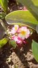IMG-20200319-WA0013