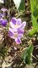 IMG-20200319-WA0015