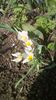 IMG-20200319-WA0016
