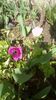 IMG-20200319-WA0018
