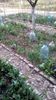IMG-20200320-WA0004