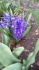 IMG-20200320-WA0005