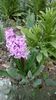 IMG-20200320-WA0012