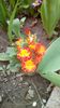 IMG-20200320-WA0013