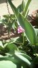 IMG-20200327-WA0000