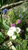 IMG-20200327-WA0003