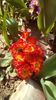 IMG-20200327-WA0004