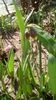 IMG-20200327-WA0006