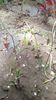 IMG-20200327-WA0009