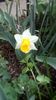 IMG-20200330-WA0026